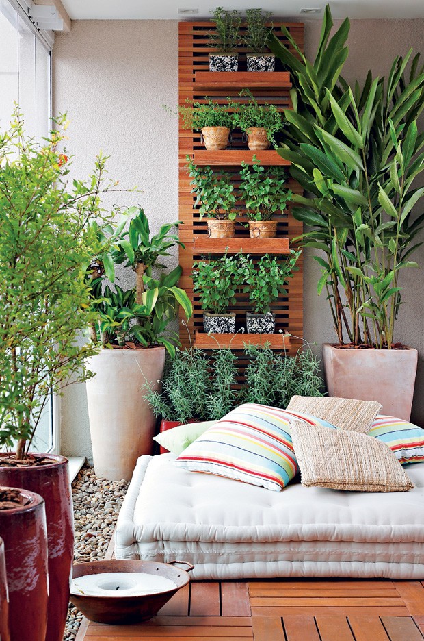 5 plantas fáceis de cuidar em apartamento
