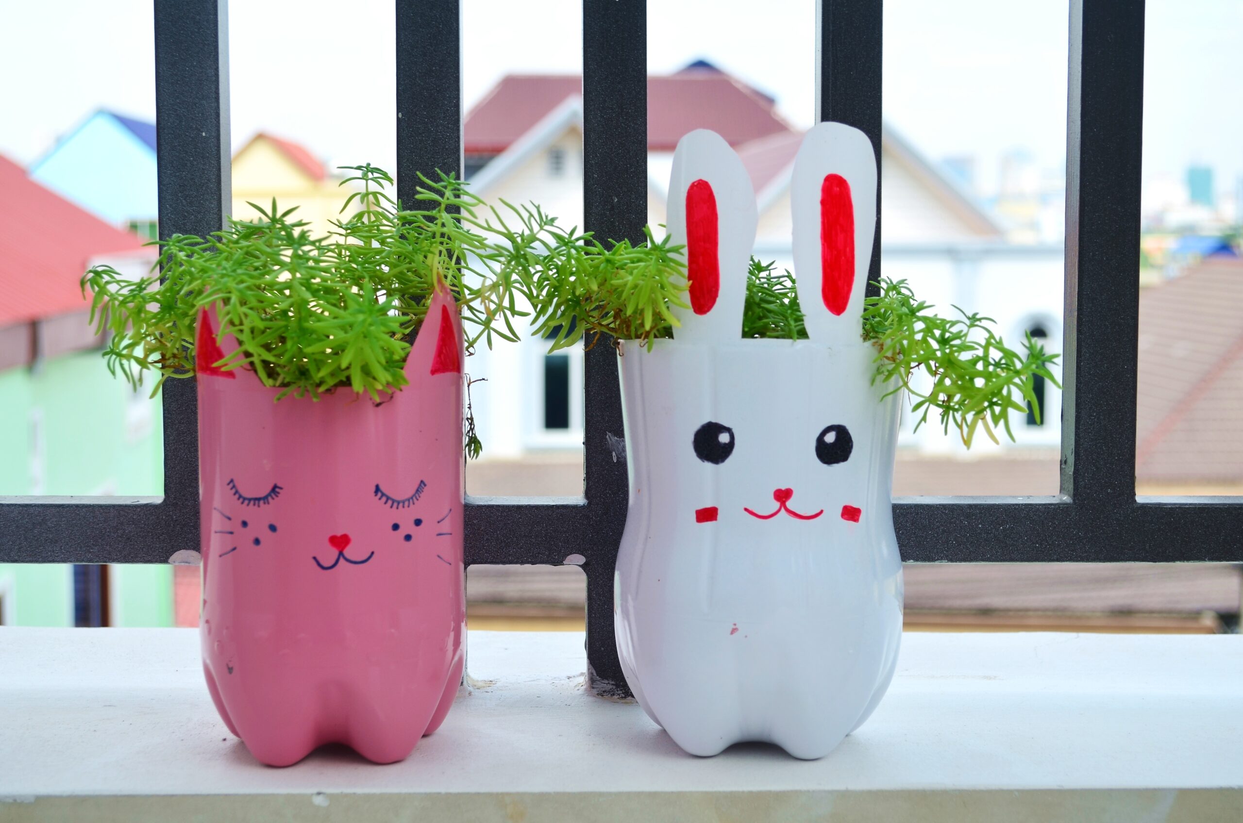 plantas para cultivar em garrafa pet