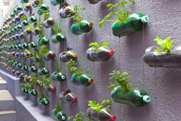 reciclagem criativa plantas