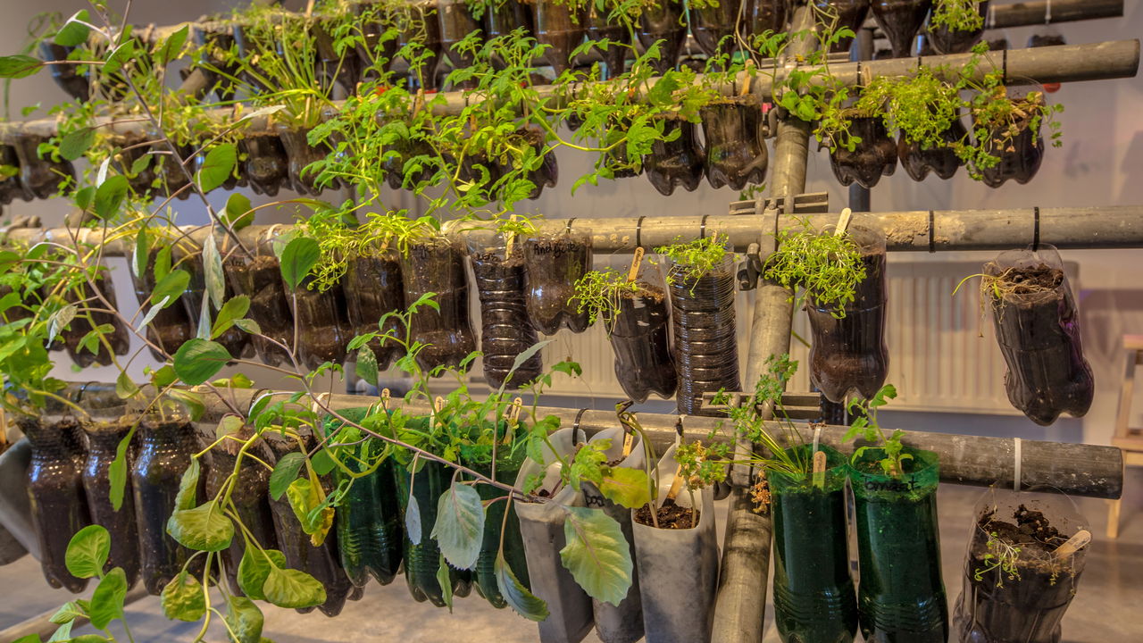 como fazer horta em garrafa pet