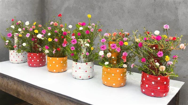 jardim sustentável garrafa pet