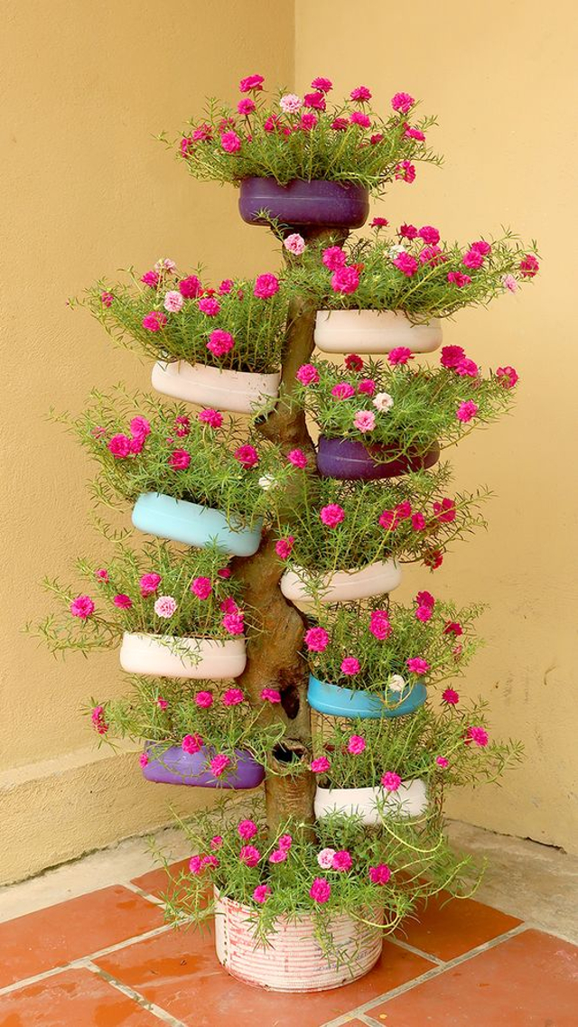 reciclagem criativa plantas