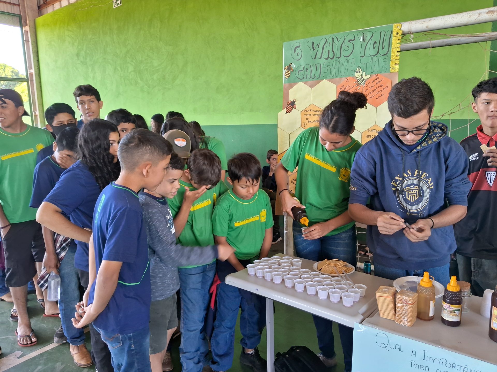 decoração feira química versus física qual melhor