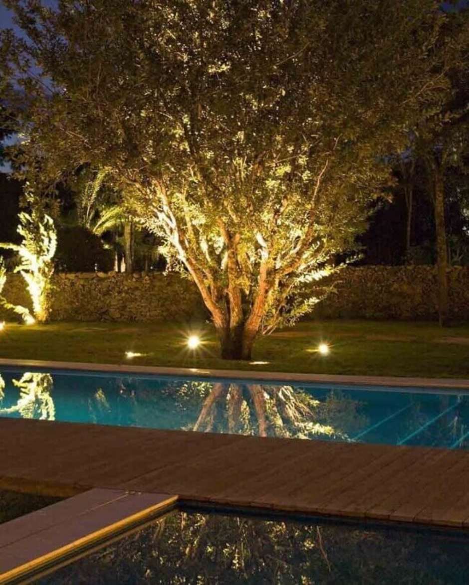 Iluminação de jardim com espetos de LED: destaque seu paisagismo