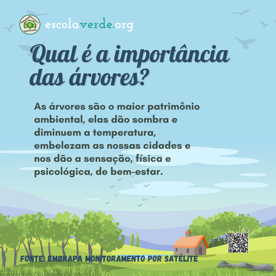 5 ideias de títulos:
1. A Importância da Diversidade de Árvores para a Resiliência Ecológica
2. Como a Biodiversidade Florestal Contribui para a Saúde do Planeta
3. Benefícios da Diversidade de Espécies para o Solo e o Clima
4. Refúgios Naturais: O Papel das Árvores na Proteção da Biodiversidade
5. Diversidade de Árvores: Um Pilar para a Sustentabilidade Humana e Ambiental