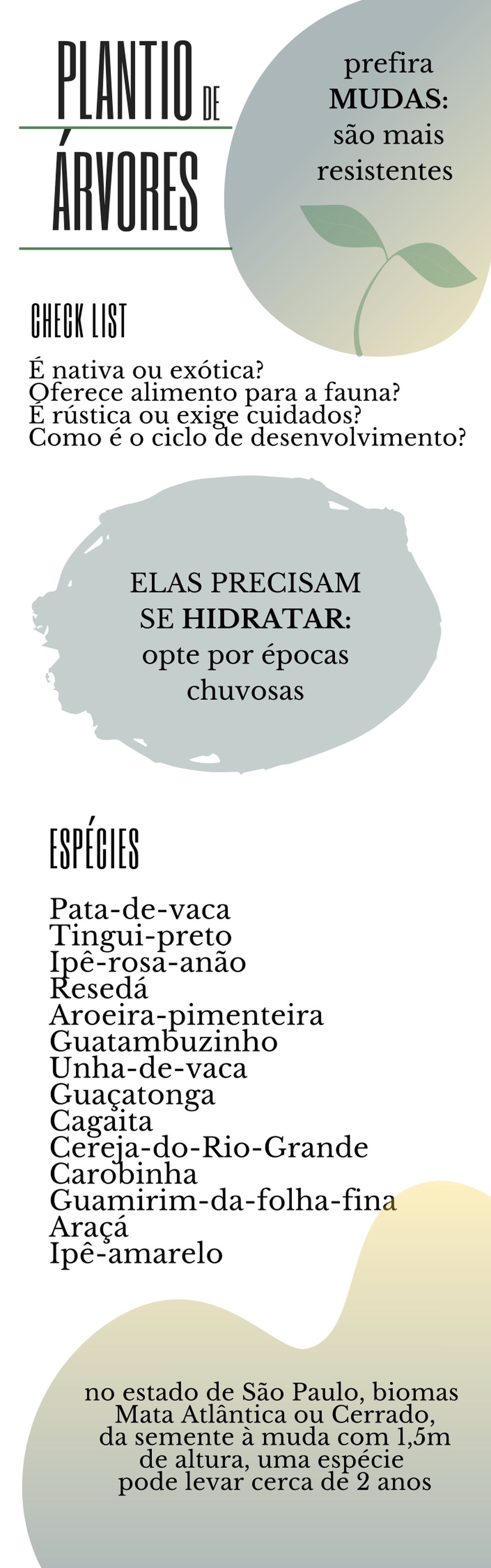 importancia da diversidade de arvores