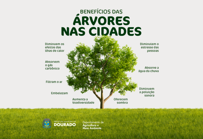 5 ideias de títulos:
1. A Importância da Diversidade de Árvores para a Resiliência Ecológica
2. Como a Biodiversidade Florestal Contribui para a Saúde do Planeta
3. Benefícios da Diversidade de Espécies para o Solo e o Clima
4. Refúgios Naturais: O Papel das Árvores na Proteção da Biodiversidade
5. Diversidade de Árvores: Um Pilar para a Sustentabilidade Humana e Ambiental