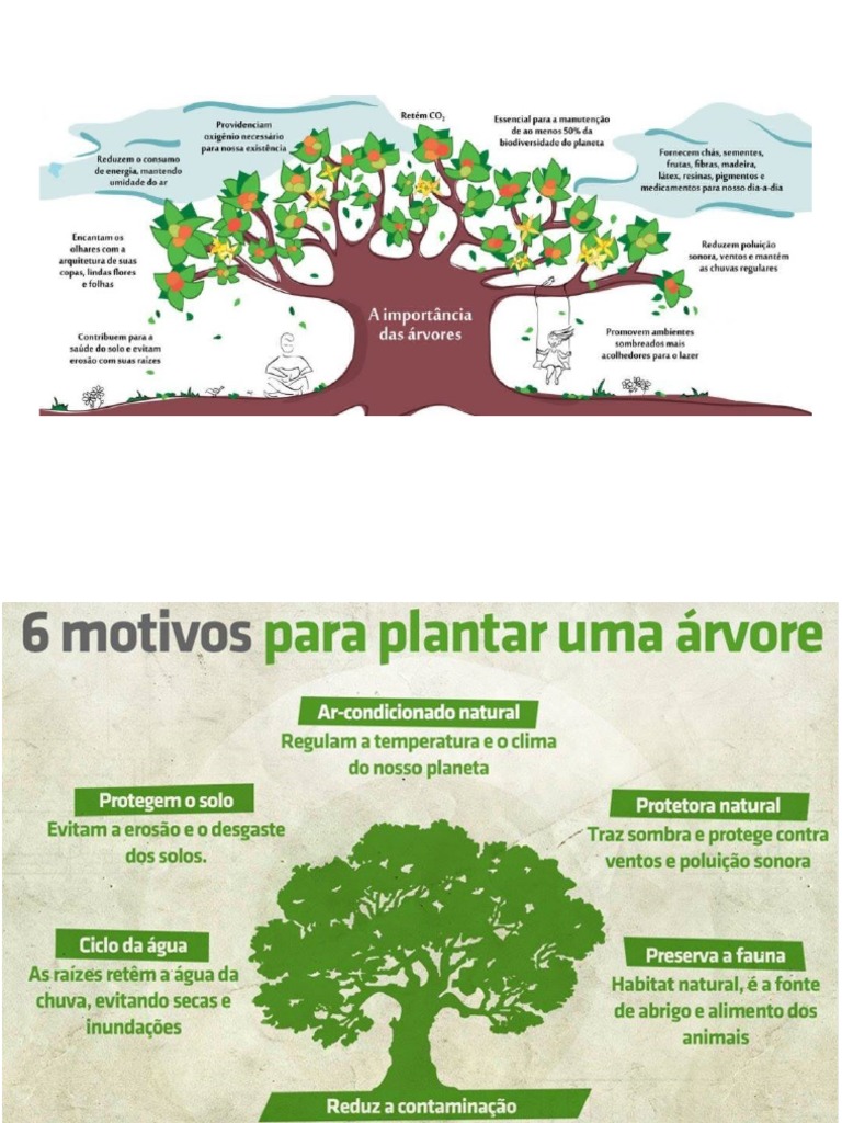 O Papel Fundamental das Árvores na Base da Cadeia Alimentar