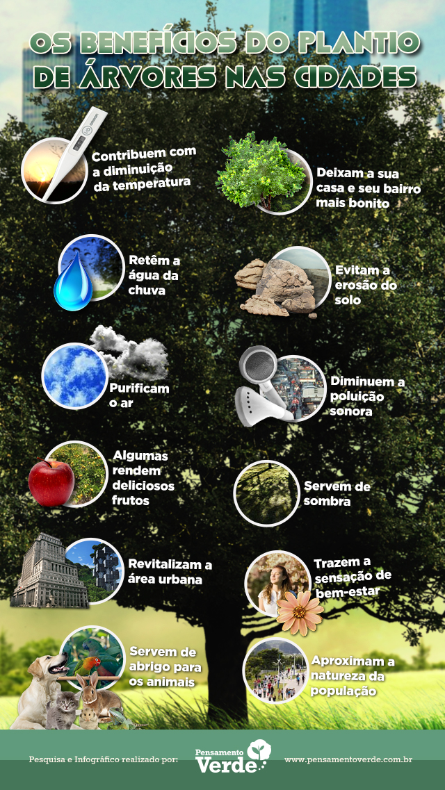 importancia das arvores para o meio ambiente