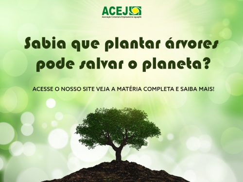 Tipos de Raízes e Suas Funções Específicas