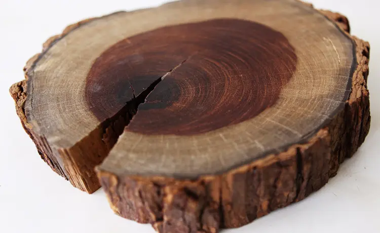 jacaranda e a legislação brasileira