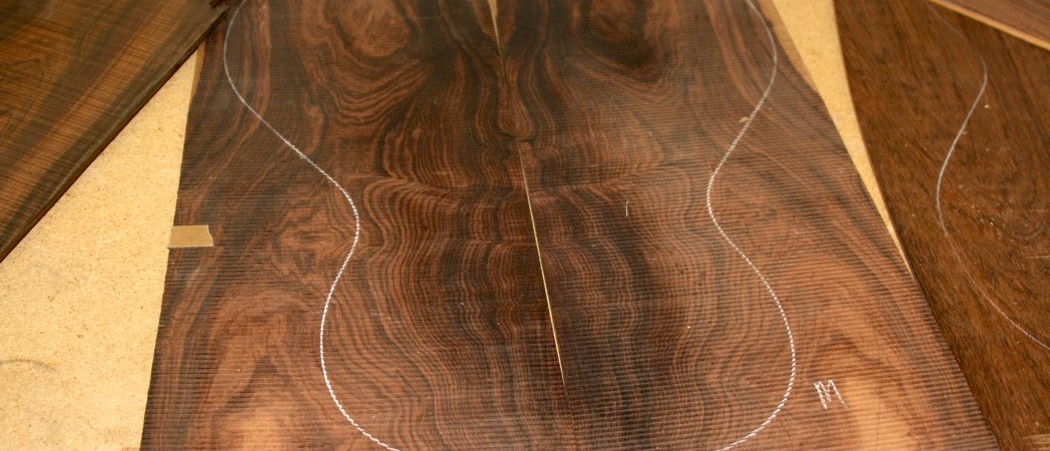 Como obter licença para poda ou corte de árvores em áreas urbanas?