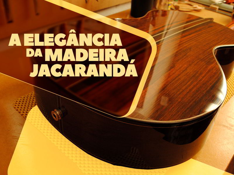 CITES e o Comércio de Madeira: O que você precisa saber sobre o Jacarandá?