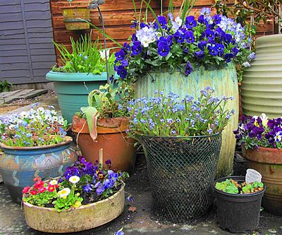jardim vertical com vasos