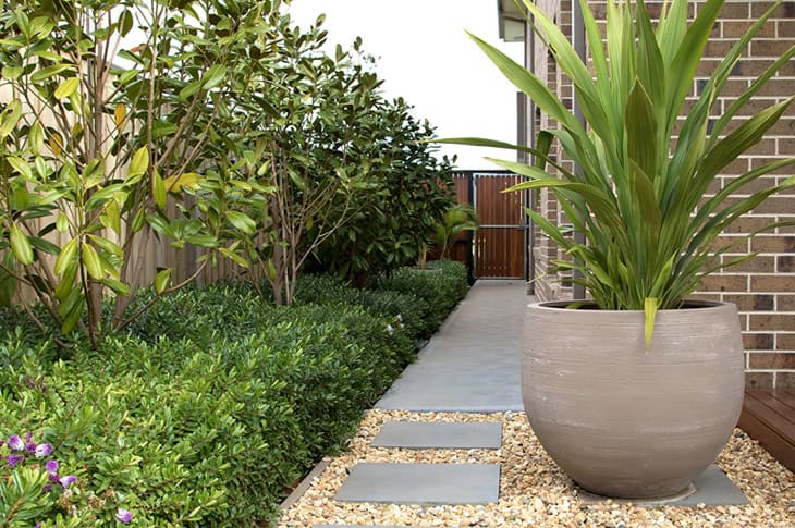 jardim em vasos pequenos