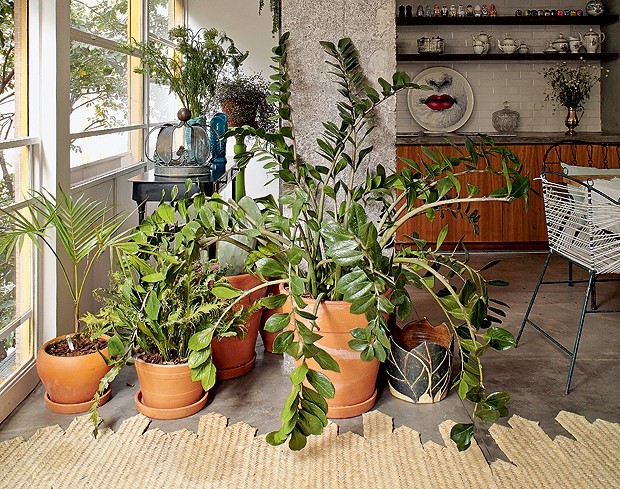 como montar jardim em vasos