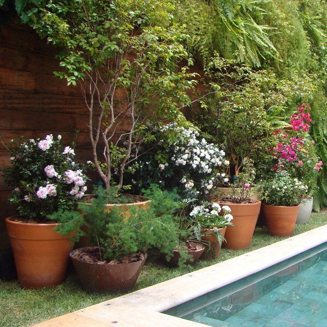 jardim de inverno com vasos