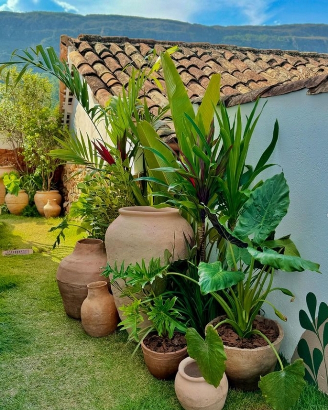 manutenção de jardim em vasos