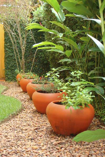 jardim em vasos pequenos