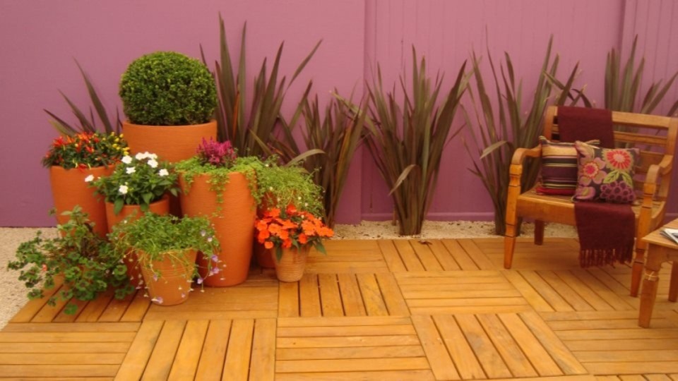 decoração com vasos de plantas
