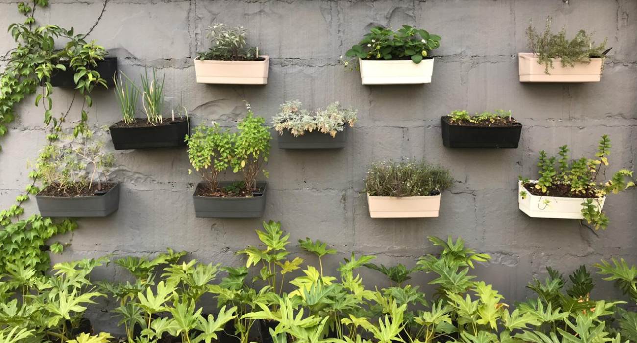 jardim em apartamento com vasos
