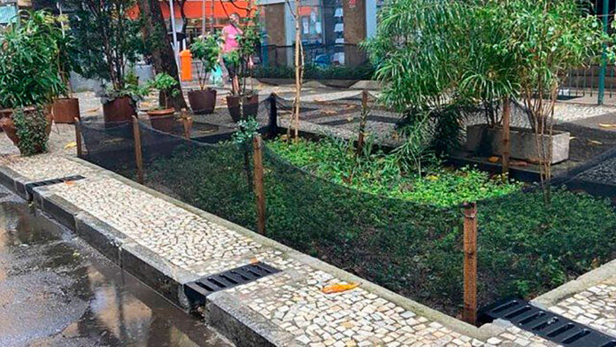 Guia completo: Construindo um jardim de chuva em casa