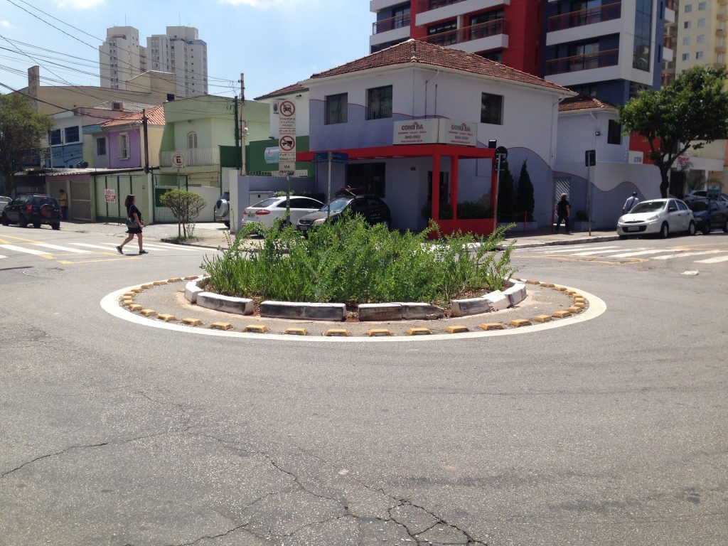 Benefícios da biodiversidade em jardins de chuva