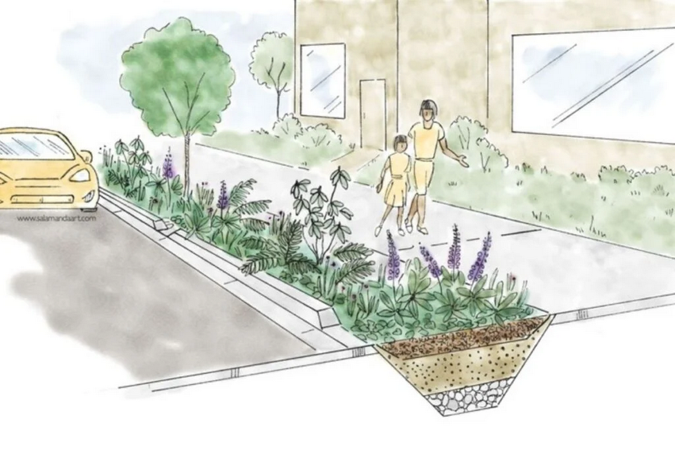 Manutenção de jardins de chuva: Dicas práticas