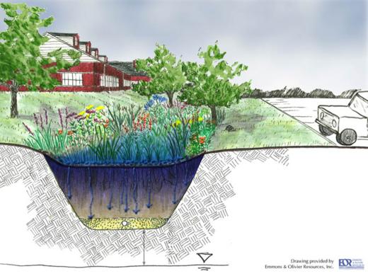 A importância dos jardins de chuva na redução de enchentes