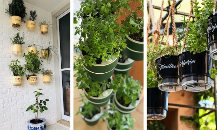 10 Ervas Aromáticas Essenciais para sua Cozinha