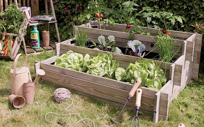 jardim de ervas em casa