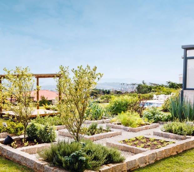 Como Montar uma Horta Vertical em Pouco Espaço