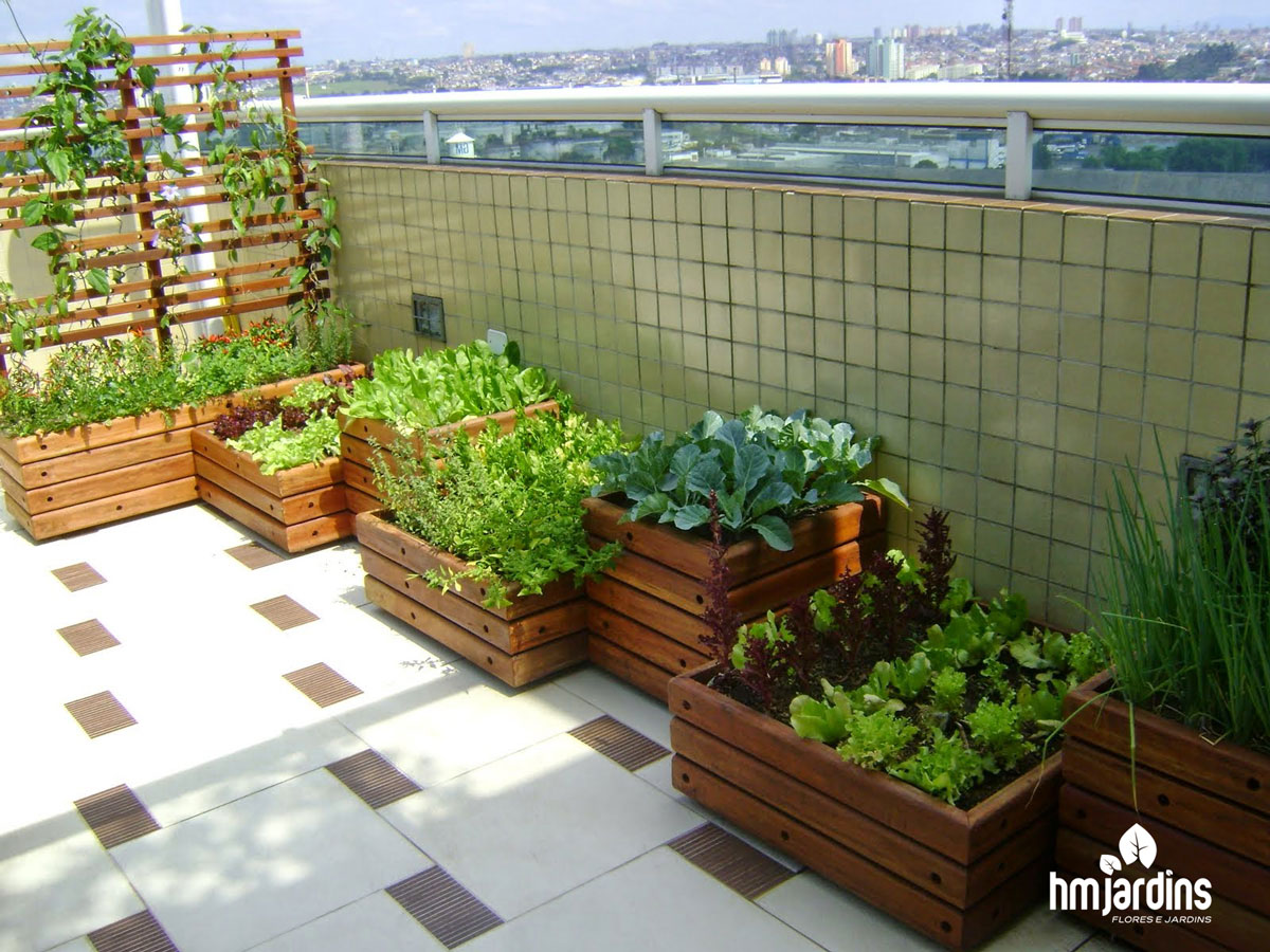 Guia Completo de Luminosidade para cada Tempero