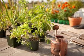 Horta Vertical DIY: Crie a Sua com Materiais Reciclados