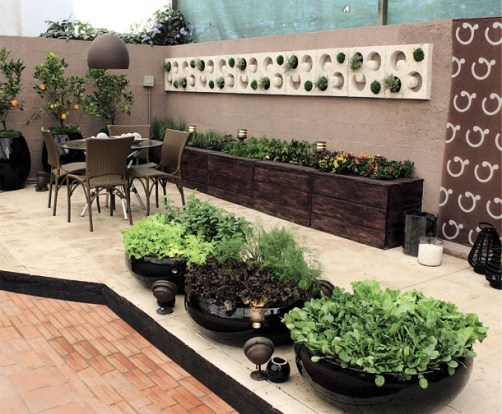 Receitas com Temperos Frescos da sua Horta