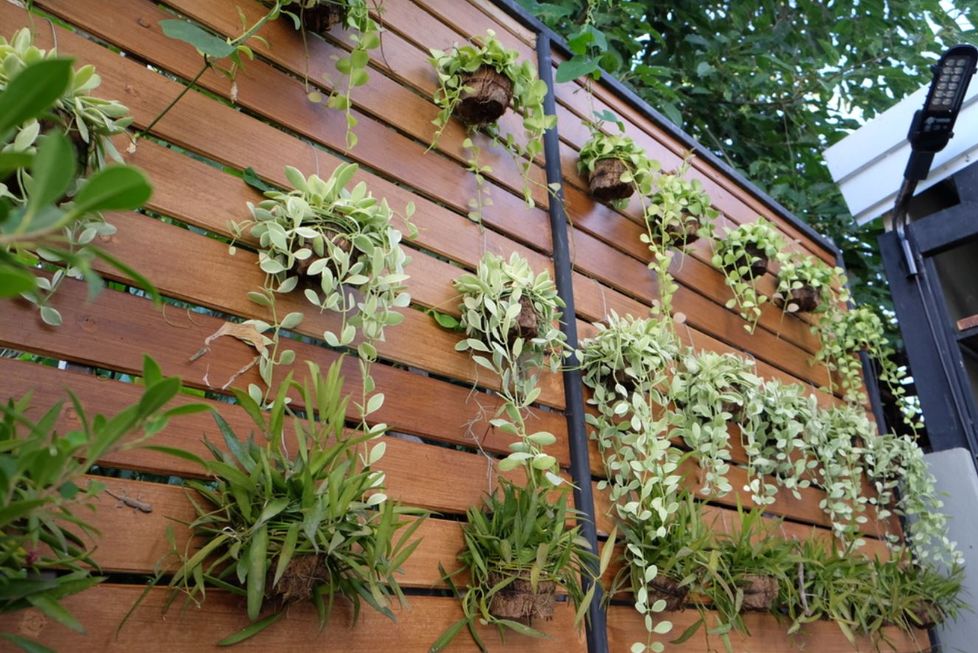 jardim vertical