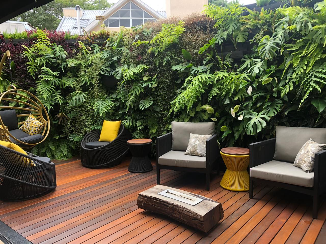 plantas para jardim vertical