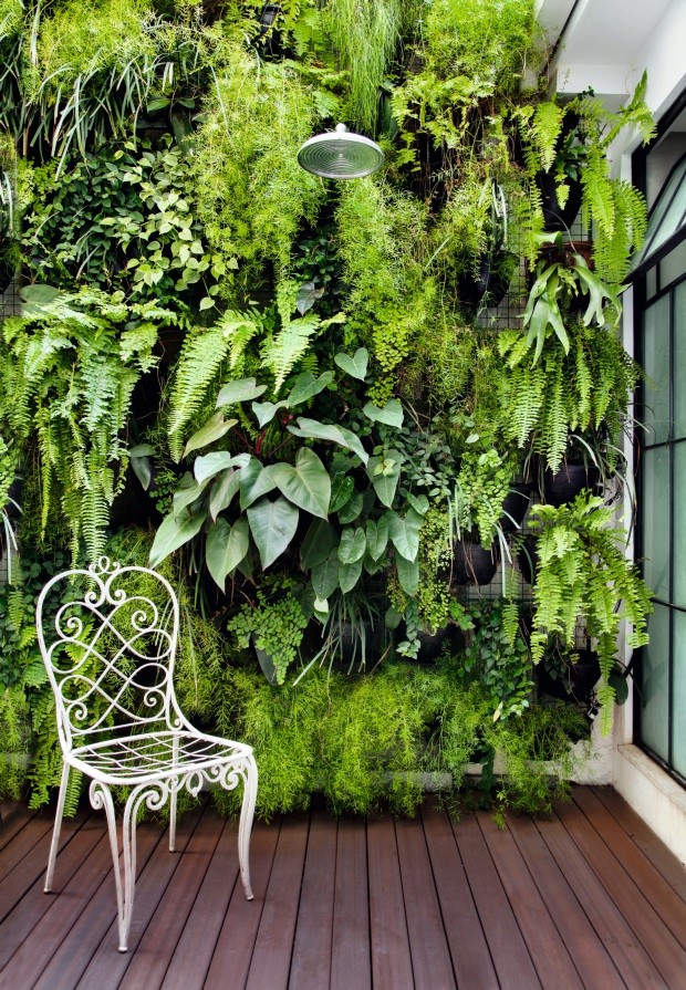 horta vertical