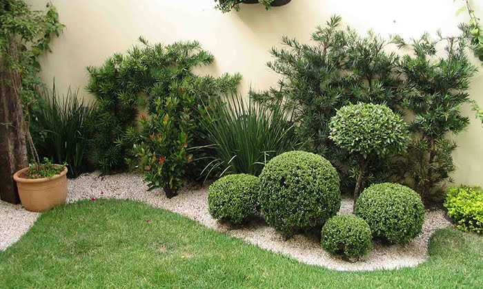 jardim sustentável em casa