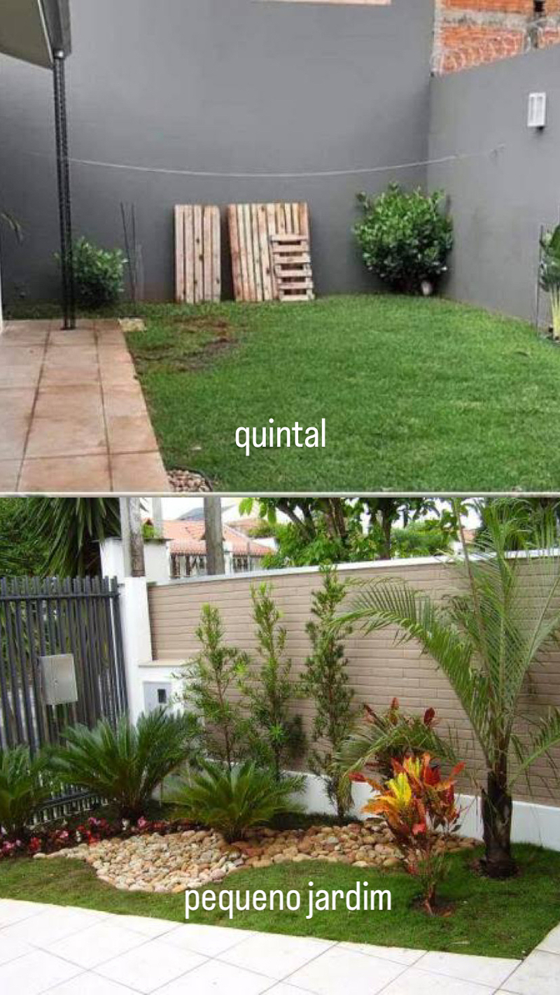 paisagismo de quintal