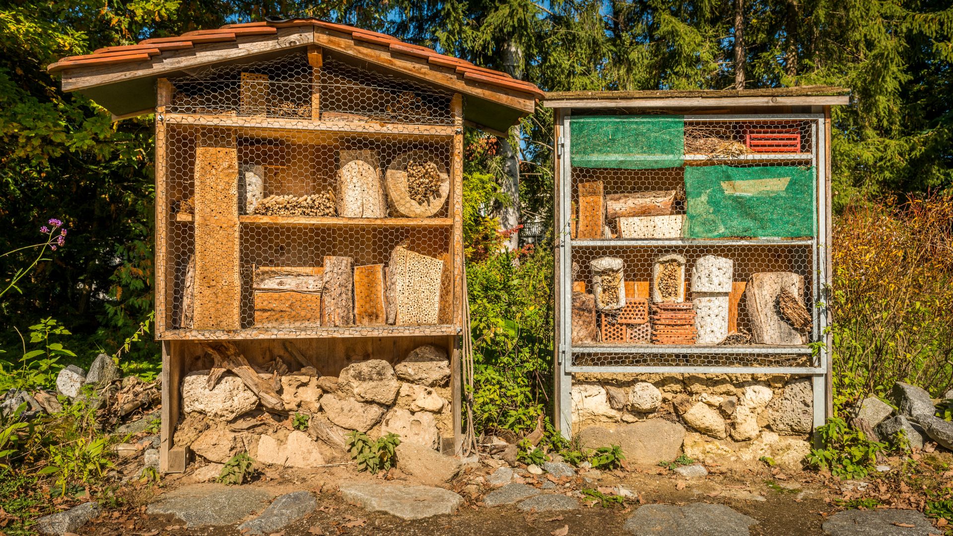 Por que evitar pesticidas em jardins para abelhas?