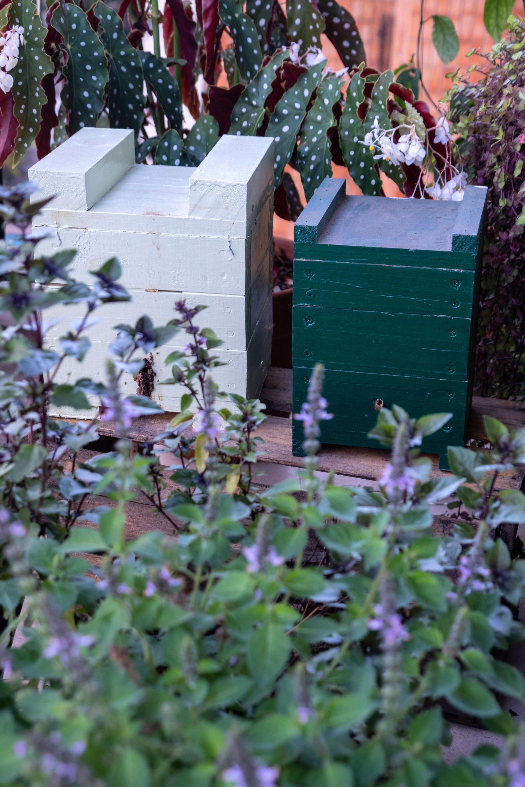 Por que evitar pesticidas em jardins para abelhas?
