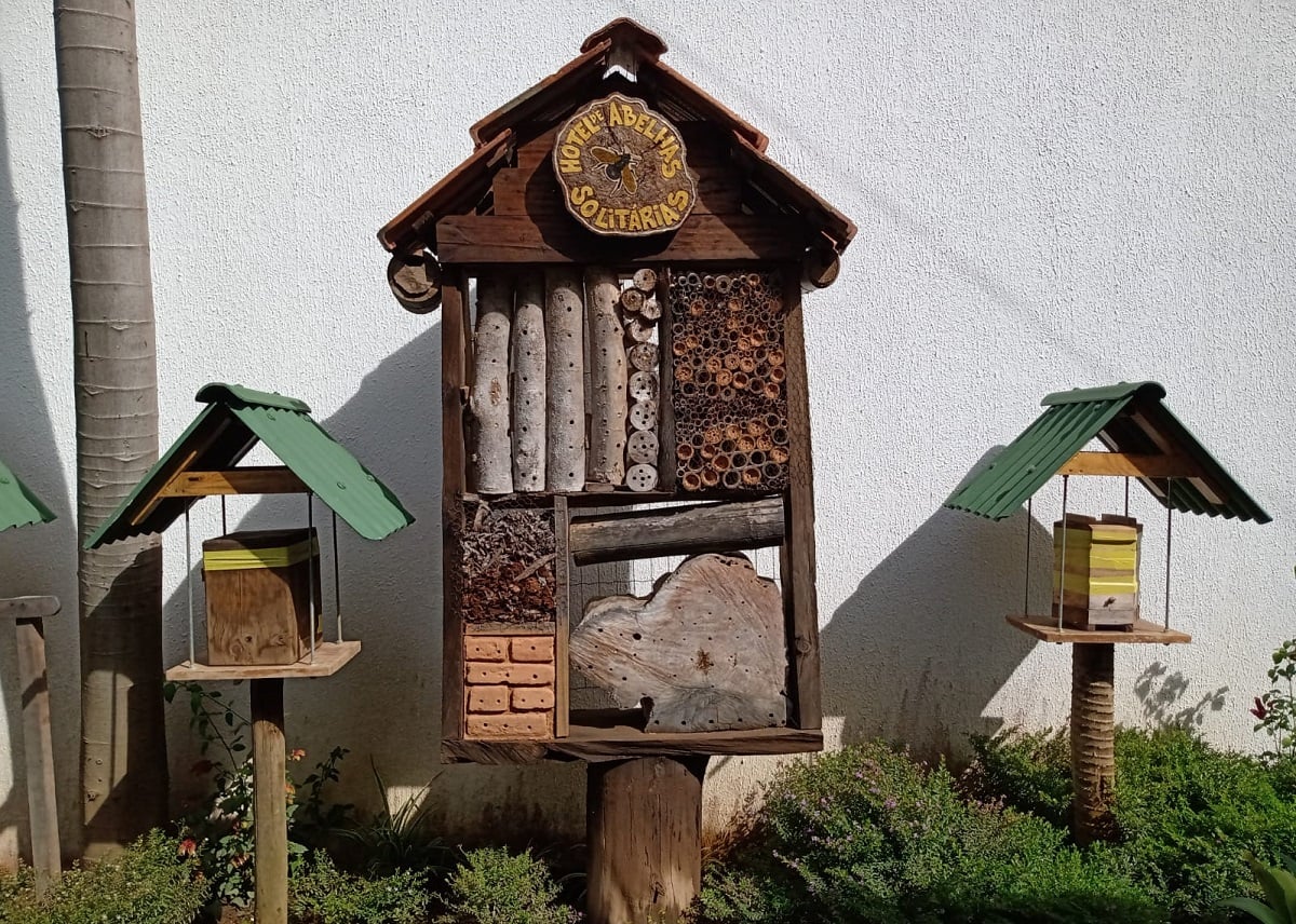 jardim para abelhas