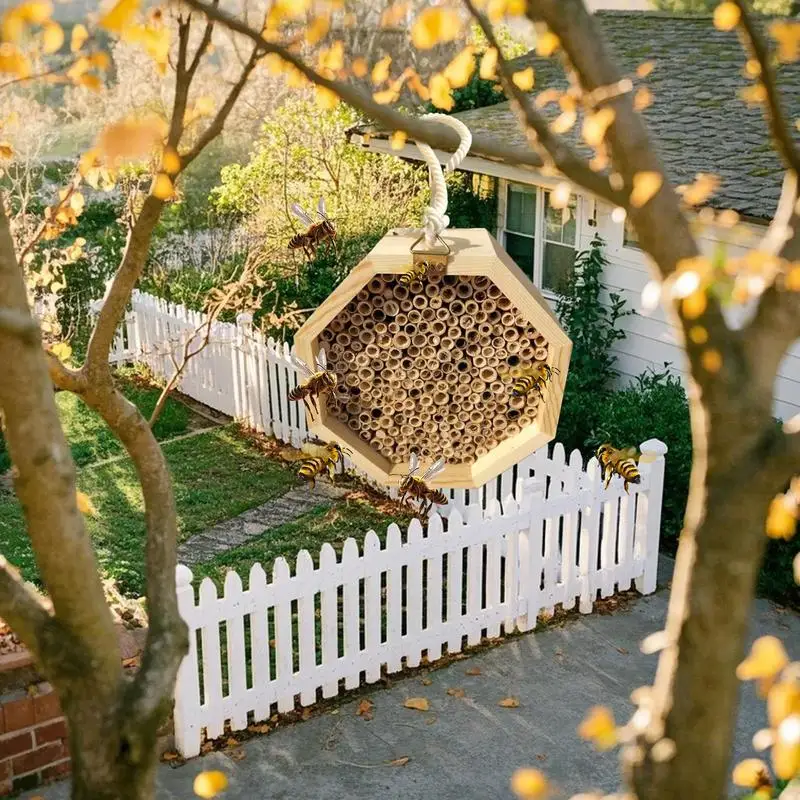 As melhores plantas para atrair abelhas Jataí