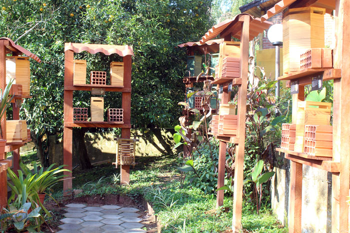 jardim para abelhas