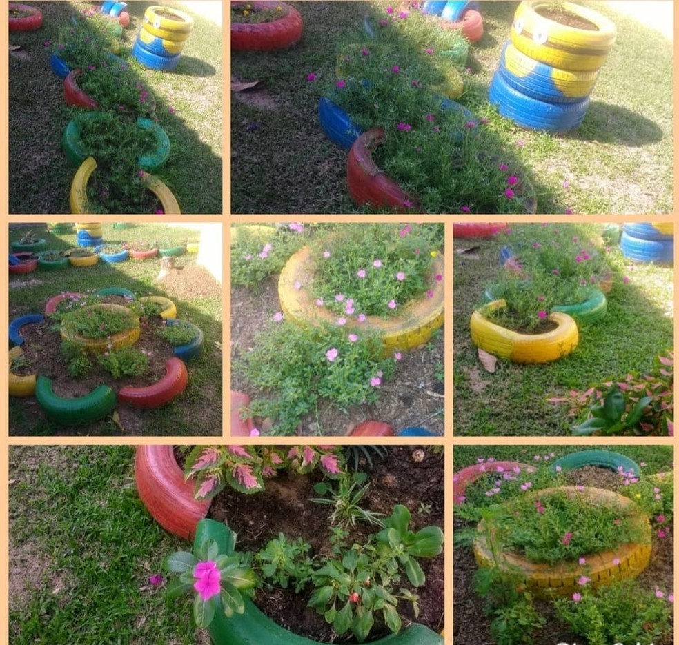 horta econômica em casa