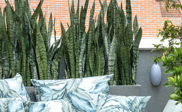 jardim vertical com paletes