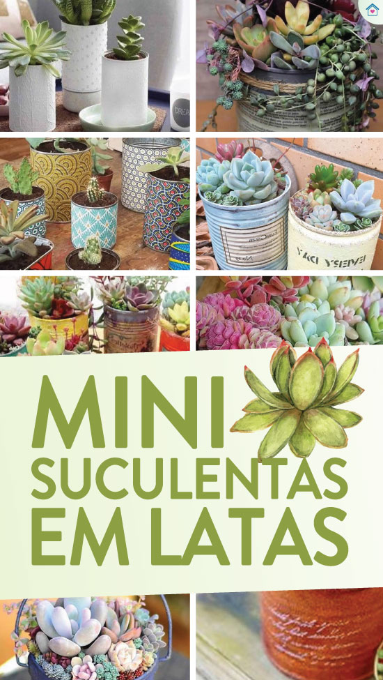 jardim simples e barato