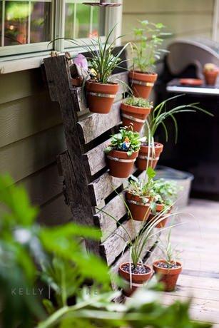 como fazer jardim gastando pouco