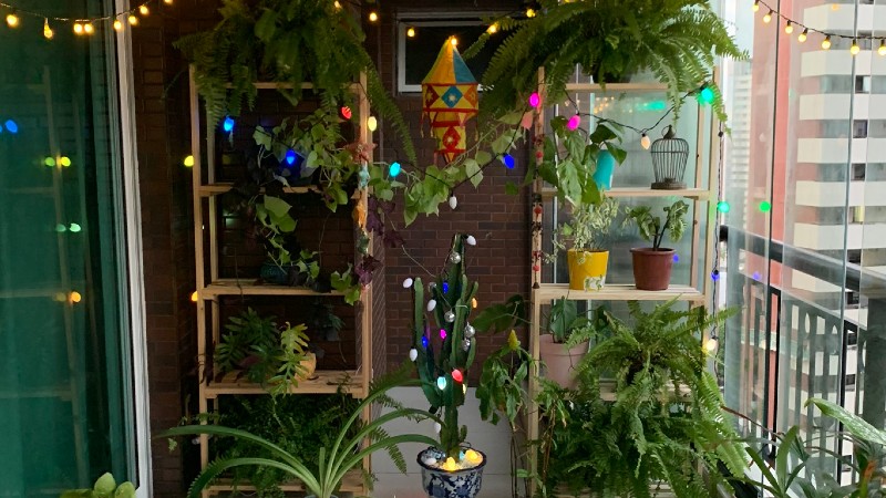 Construindo caminhos e estruturas no jardim a dois